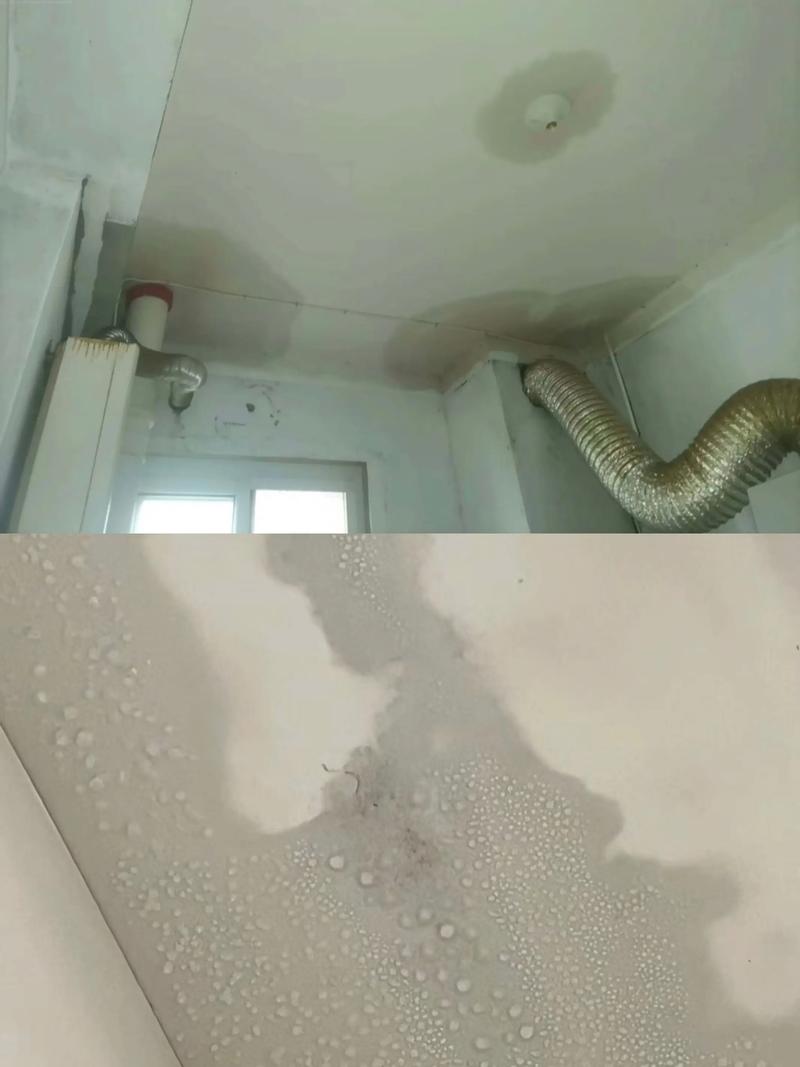广州防水补漏：应对潮湿的智慧之选